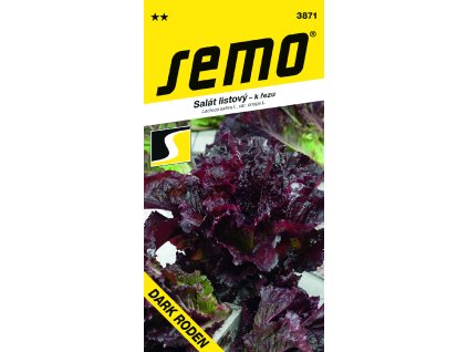 3871 salát RODEN RODEN