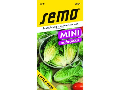 3894 salát římský LITTLE GEM MINI
