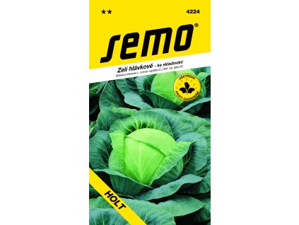4224 zelí HOLT