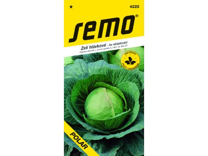 4225 zelí POLAR