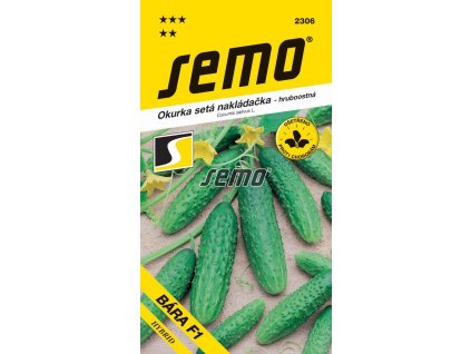 Okurka setá nakládačka Bára F1 – hruboostná 1