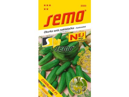Okurka setá nakládačka Charlotte F1 – hustoostná