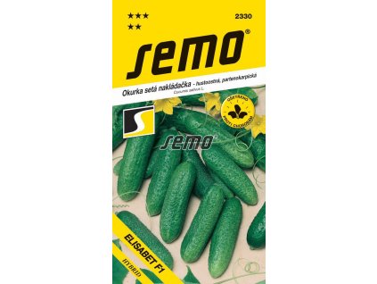 Okurka setá nakládačka Elisabet F1 – hustoostná
