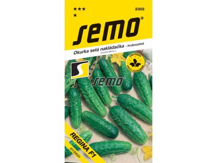 Okurka setá nakládačka Regina F1 – hruboostná