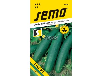 Okurka setá salátová Lili F1