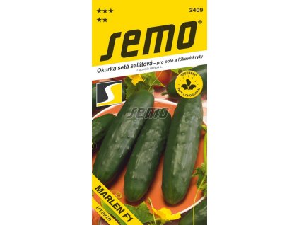 Okurka setá salátová Marlen F1