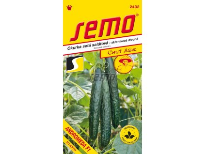 Okurka setá salátová hadovka Andromeda F1