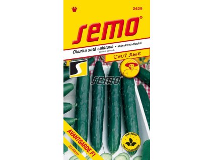 Okurka setá salátová hadovka Avantgarde F1