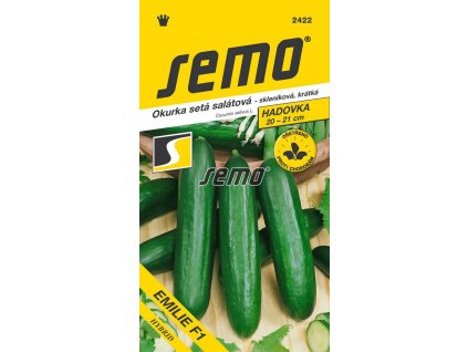 Okurka setá salátová hadovka Emilie F1