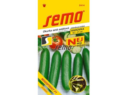 Okurka setá salátová hadovka Minisprint F1
