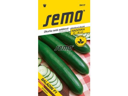 Okurka setá salátová hadovka Saladin F1