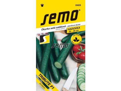 Okurka setá salátová hadovka Tribute F1
