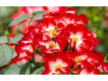 1769881884 3f6326cd e5e1 44e4 b7d6 1fdb81975151