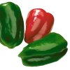 Capsicum Jericho
