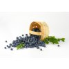 bluejay profimedia 0283261835