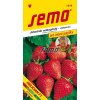 1218 semo zelenina jahodnik velkoplody delician