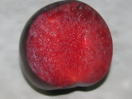 Japonská švestka 'Red Freedom'