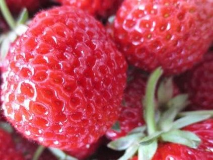 framberry