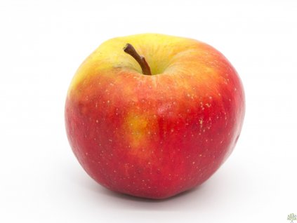 Jabloň 'Orangecrisp' - kontejner