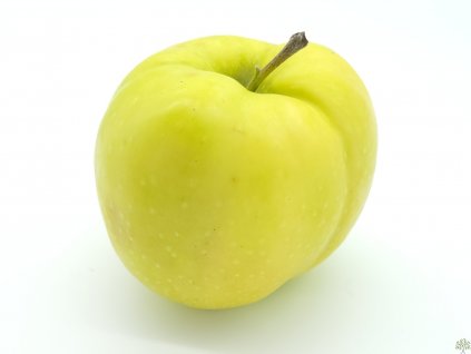 Jabloň 'Libovické zlaté'