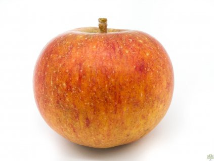 Jabloň 'Cherry Cox's'