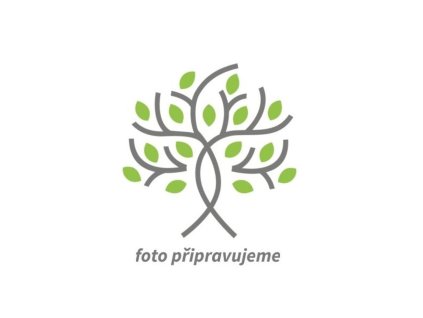 Jabloň 'Parówki'