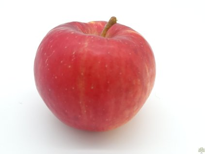 Jabloň 'Red Topaz' - kontejner