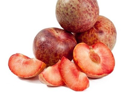 Švestkomeruňka 'Dapple Dandy' (Balení prostokořenný stromek, Podnož myrobalán)