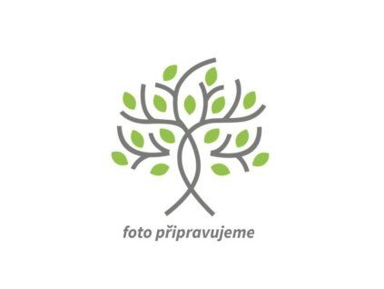 Švestka 'Nectavit'  Prunus domestica 'Nectavit'