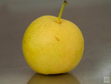 Asijská hrušeň 'Shinseiki'