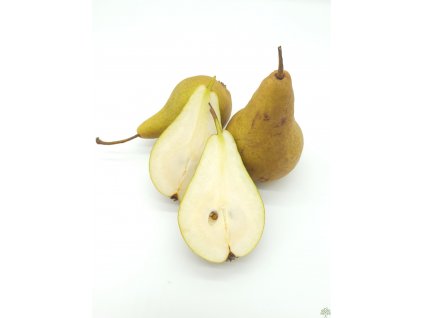 Hrušeň 'Boscova lahvice'