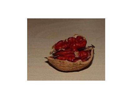 Ořešák 'Hospozinský červený'
