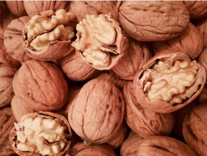 Ořešák královský 'Chandler'