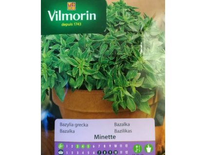 74109 vilmorin bazalka recka minette