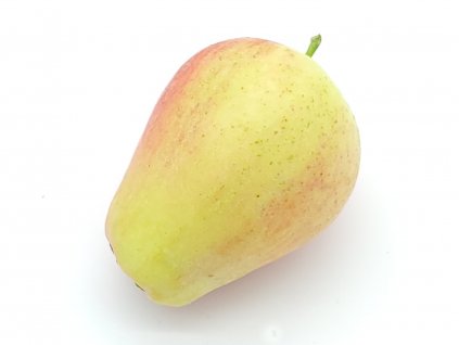 Jabloň 'Česká Pochoutka'