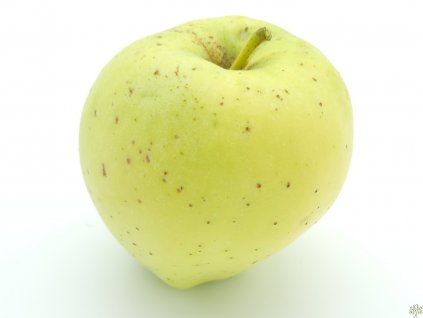 Jabloň 'Krasokvět Žlutý'