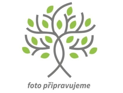 foto p�ipravujeme