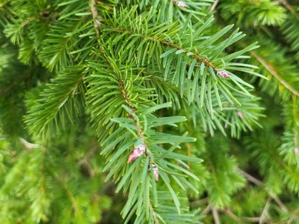 20221111 131236 resized