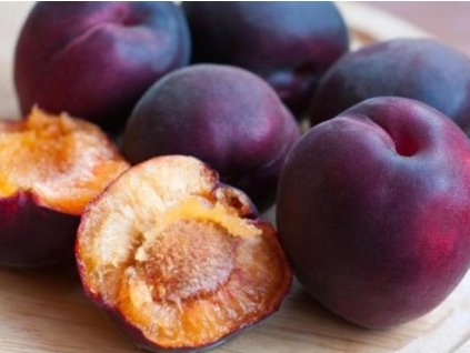 Švestkomeruňka 'Černyj Barchat'