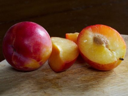 Švestkomeruňka 'Pluot Geltiy'