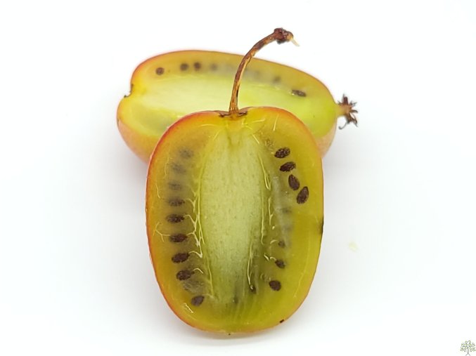 45567 1 kiwi ananasnaya