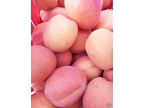 Meruňka goldrich opylovač Meruňka goldrich opylovač