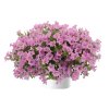 Littletunia� Pink