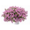 Littletunia® Pink