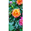 644f0f75829dfcd8