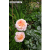3ebb6e3682b09cad