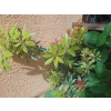 79f4dde05cfba50b