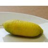 Australský citrus 'Faustrime'