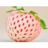 bubbleberry
