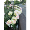 132082 1 51b8dc79eae93cb0
